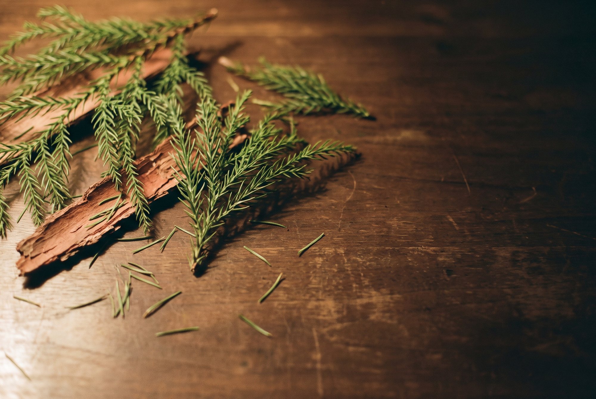 Green cedar sprigs and bark on a wooden table.